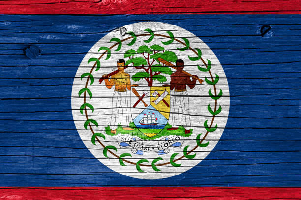 Belizean flag on wood texture.