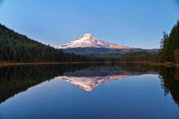 mt hood odbijający się w trillium lake w stanie oregon z czystym błękitnym niebem - mt hood national park zdjęcia i obrazy z banku zdjęć