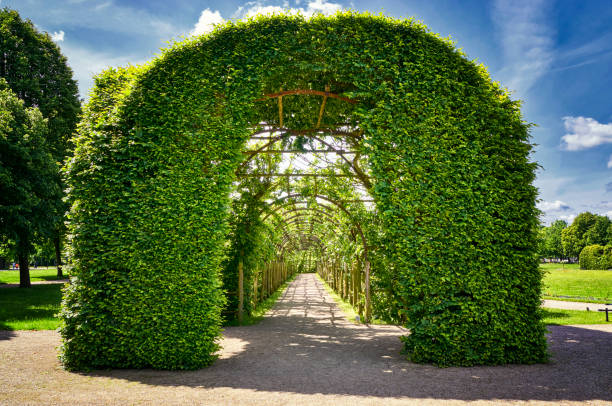 A blue arched garden gate with fall colored leaves.