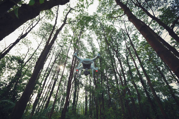 istock White drone with camera flying in tropical forest 1042122934