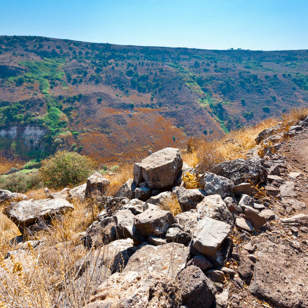 istock Nature reserve located in the Golan Heights 1042133826