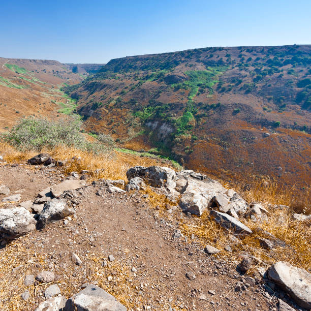 istock Nature reserve located in the Golan Heights 1042133836