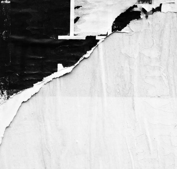 istock Blank white old ripped torn paper crumpled creased posters grunge textures backdrop backgrounds 1042137296