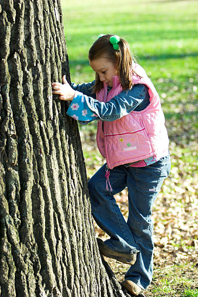 istock girl climbing tree in the park 104213805