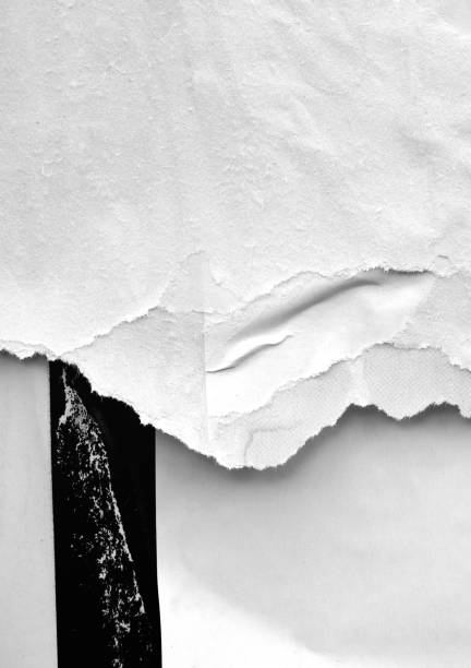 istock Blank white old ripped torn paper crumpled creased posters grunge textures backdrop backgrounds placard 1042140682