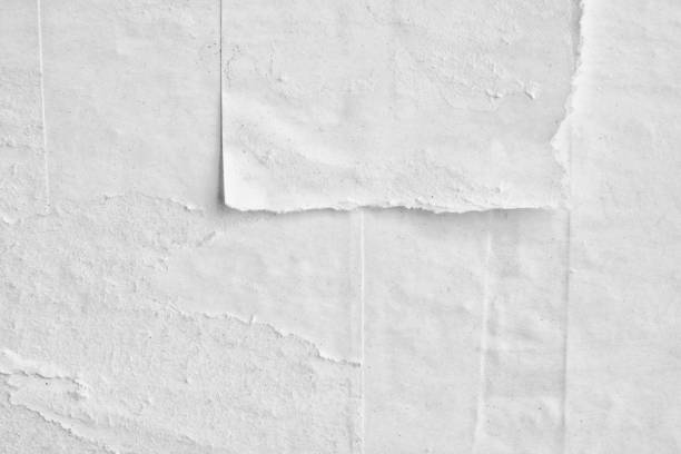 istock Blank white old ripped torn paper crumpled creased posters grunge textures backdrop backgrounds 1042140686