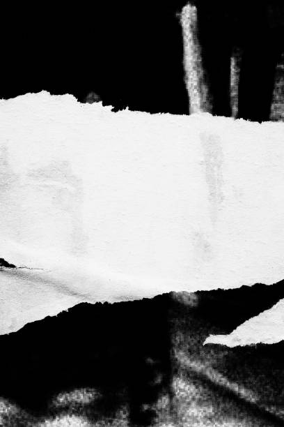 istock Blank white old ripped torn paper crumpled creased posters grunge textures backdrop backgrounds placard 1042146526