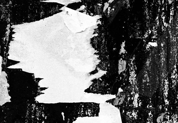 istock Blank white old ripped torn paper crumpled creased posters grunge textures backdrop backgrounds 1042149074