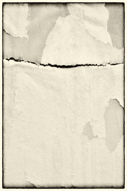 istock Blank white old ripped torn paper crumpled creased posters grunge textures backdrop backgrounds placard 1042149086