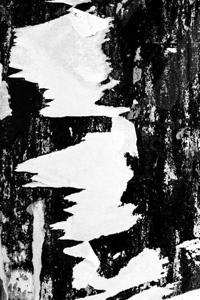 istock Blank white old ripped torn paper crumpled creased posters grunge textures backdrop backgrounds 1042149150