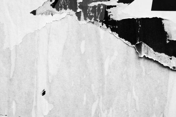 istock Blank white old ripped torn paper crumpled creased posters grunge textures backdrop backgrounds 1042149448