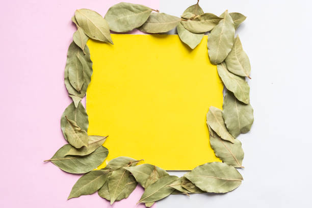 istock dried green tea leaves on soft color background surface with a square frame mock up concept f 1042149948