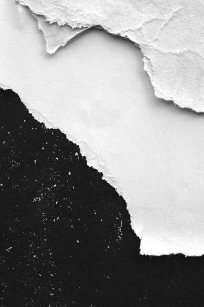 Blank white old ripped torn paper crumpled creased posters grunge textures backdrop backgrounds