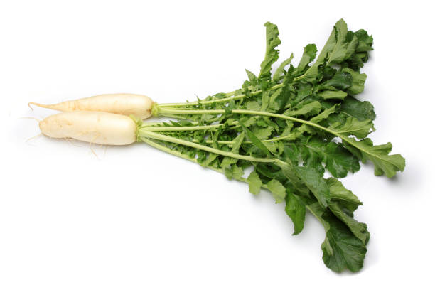 istock Daikon radishes isolated on white background 1042154472