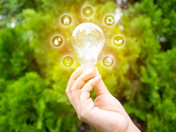 istock Concept save energy efficiency. Hand holding light bulb with icon on blurred tree background 1042157134