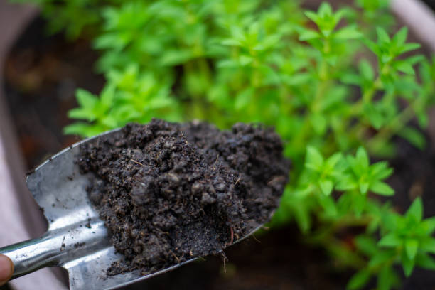 istock Farmer using shovel in gardening 1042162052