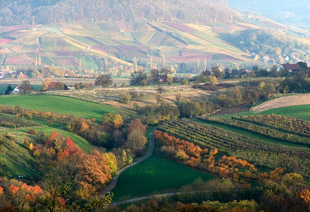 istock aerial autumn scenery in Southern Germany 104216670