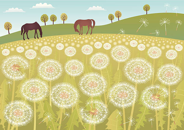 Dandelion landscape vector art illustration