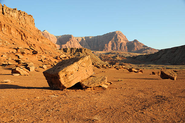 boulders de monument national des vermilion cliffs - lee ferry photos et images de collection