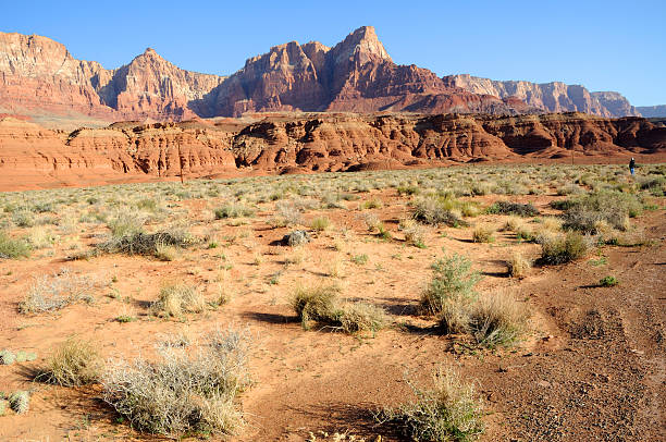 istock Vermilion Cliffs National Monument, near Marble Canyon 104219037