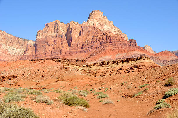 istock Sandstone Mountain in Vermilion Cliffs National Monument 104219041