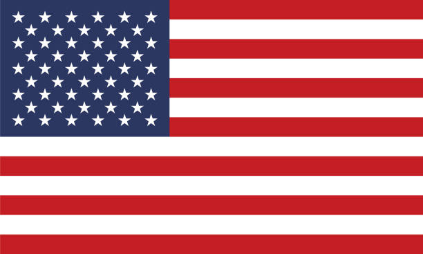 united states of america 플래깅 - flag of usa stock illustrations