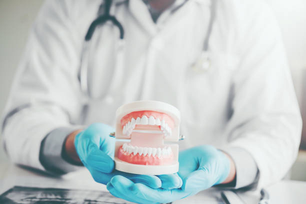 istock Dentist holding a denture learning how to teeth At dentists office 1042211956