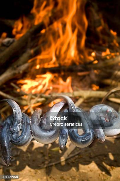 Anguiddas Foto de stock y más banco de imágenes de Cocinar - Cocinar, Fuego de chimenea, Aire libre