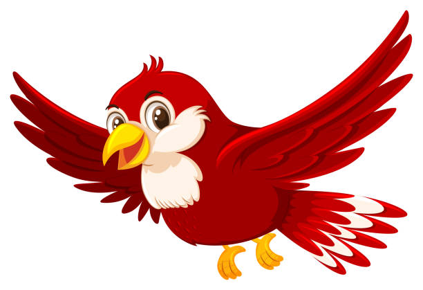 Ilustración de Un Lindo Pájaro Rojo Sobre Fondo Blanco y más Vectores  Libres de Derechos de Humor - Humor, Pájaro, Ala de animal - iStock