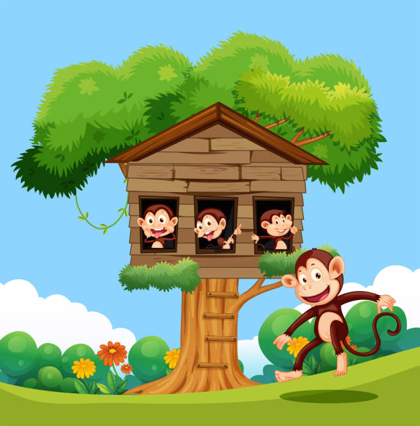 George Monkey Treehouse Monkeys Treehouse Kamloops at Teresa Hooker blog
