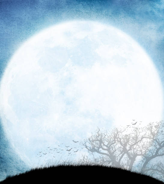 Full moon with star fall and birds flying at tropical beach abstract background. Travel vacation freedom and nature environment concept. Vintage tone filter effect color style.