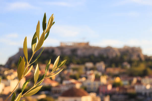 Olive twig on abstract Acropolis rock background. Athens, Greece.