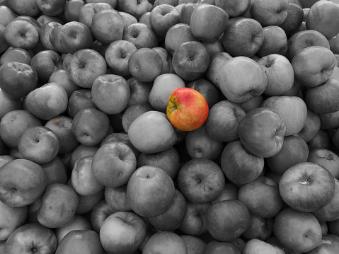 An apple in color stands out against the crowd