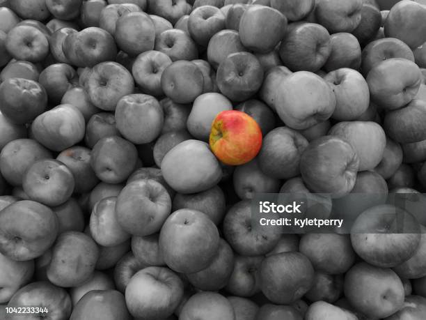 Standing Out From The Crowd Stock Photo - Download Image Now - Black And White, Standing Out From The Crowd, Color Image