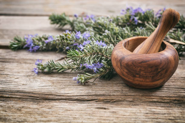 istock Fresh blooming rosemary and a mortar on a wooden table, copy space 1042241302
