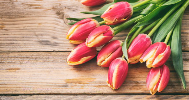istock Tulips on wooden background, copy space 1042241386