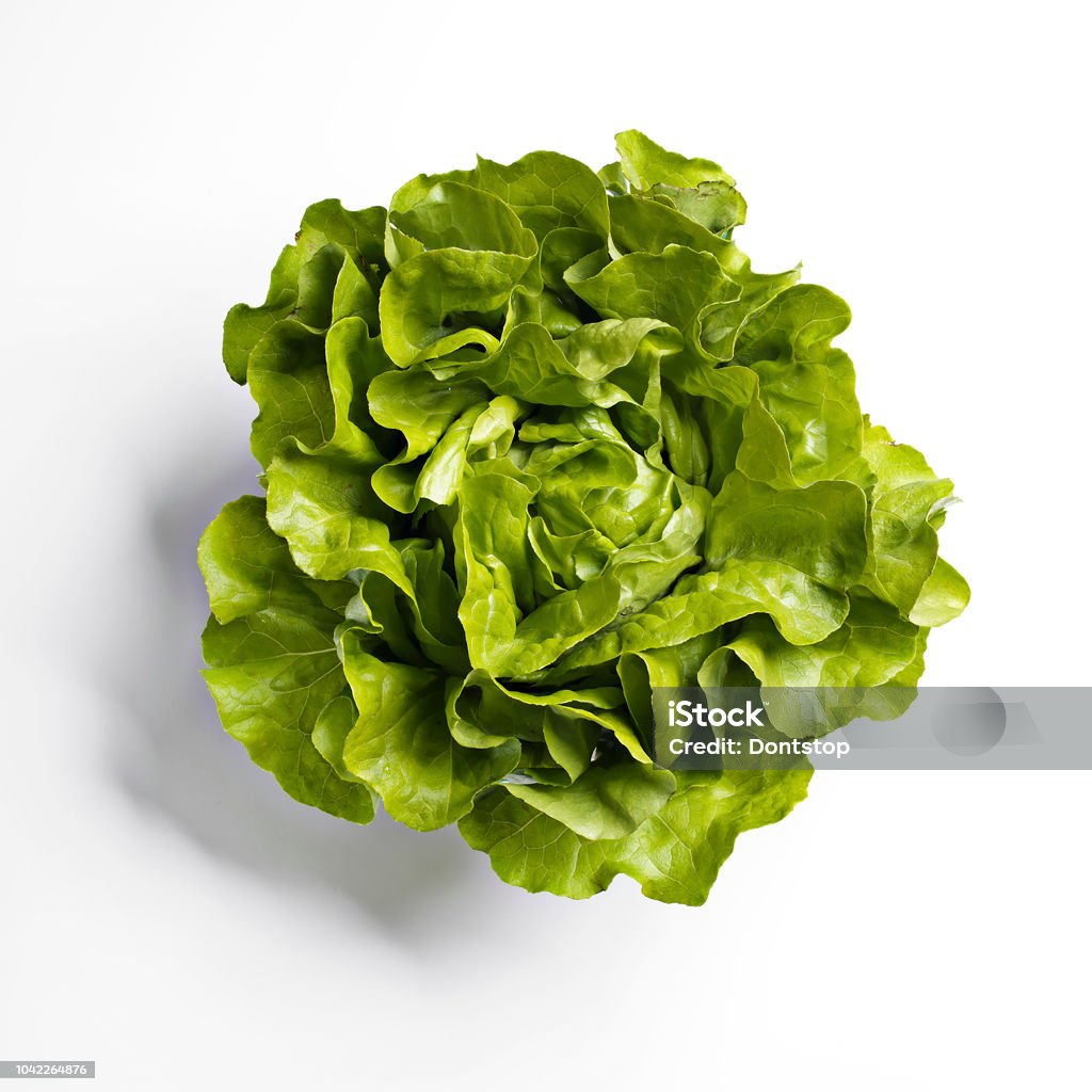 Butterhead lettuce on white background Butterhead lettuce white background Lettuce Stock Photo