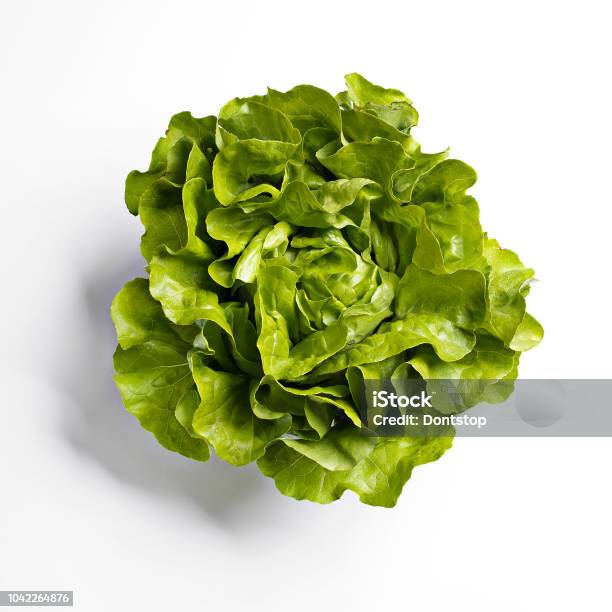 Butterhead Lettuce On White Background Stock Photo - Download Image Now - Lettuce, Salad, High Angle View