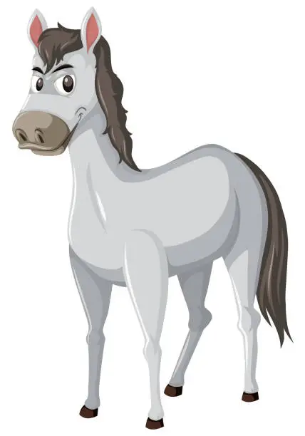 Vector illustration of Grey horse white background
