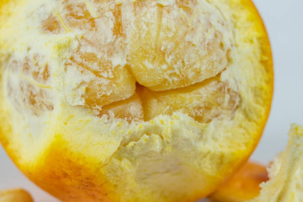 istock Peeled orange with very thick skin on a white kitchen table. Citruses prepared for desserts. 1042279936
