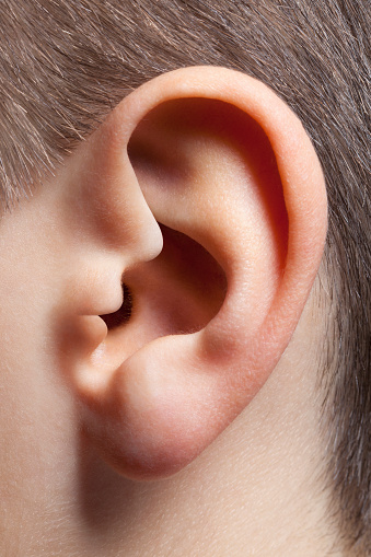 Child's ear. Ear in the shape of whispering face.