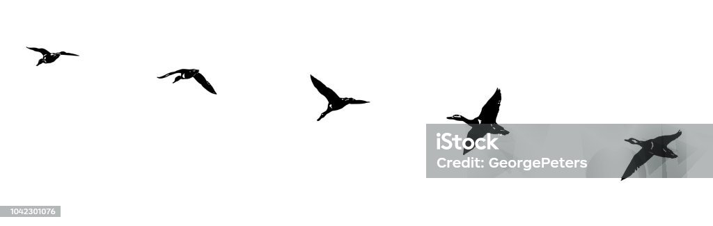 Flock of ducks flying in formation. Silhouette line art. Flying stock vector