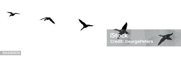 Flock Of Ducks Flying In Formation Silhouette Line Art Stock Illustration - Download Image Now