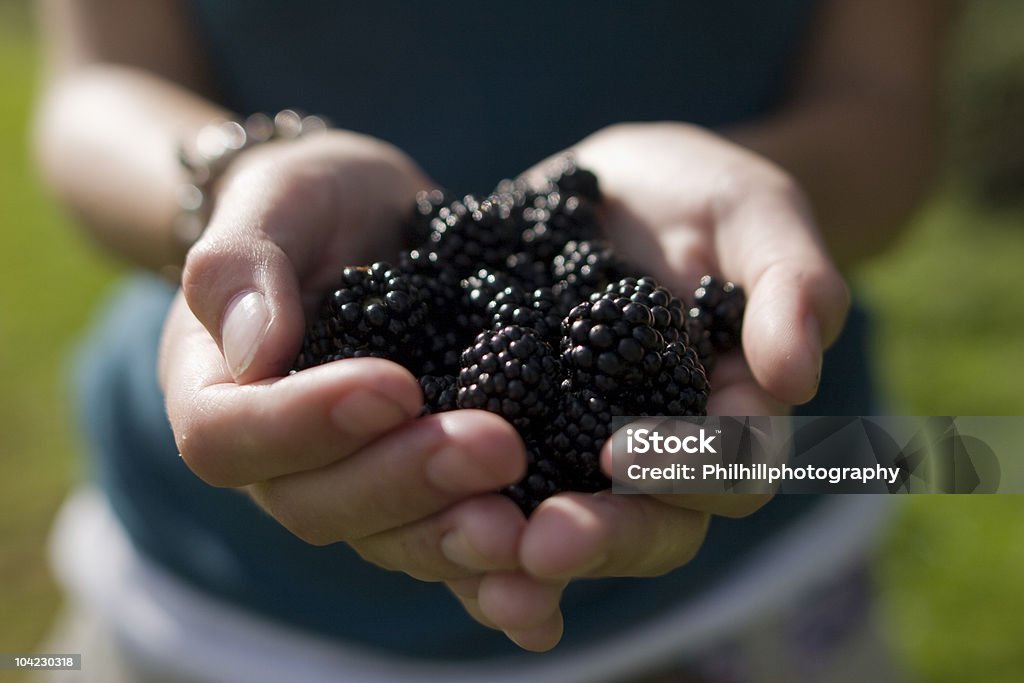 Girl Holding Blackberry's  Blackberry - Fruit Stock Photo