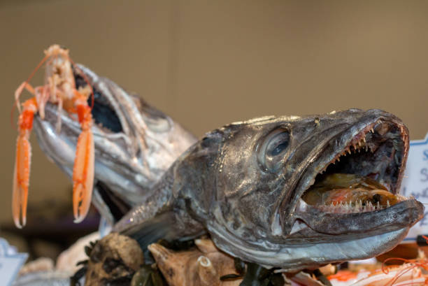 istock Crayfish and Hake in Borough Market, London 1042306596