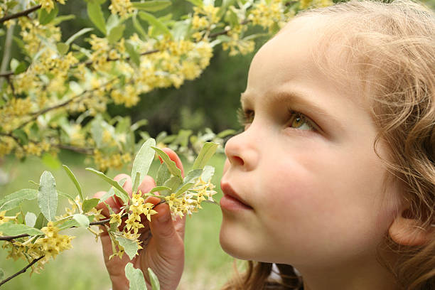 istock Girl Smelling the Honeysuckle 104231249