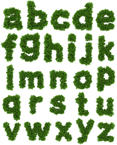 istock On view top forest small font high detail 104231288