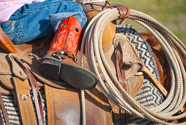 istock child rides cow horse 104231797
