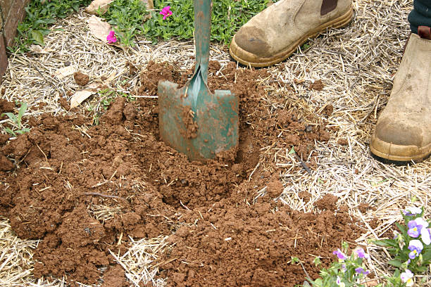 istock Hole being Dug Out with Spade 104232217