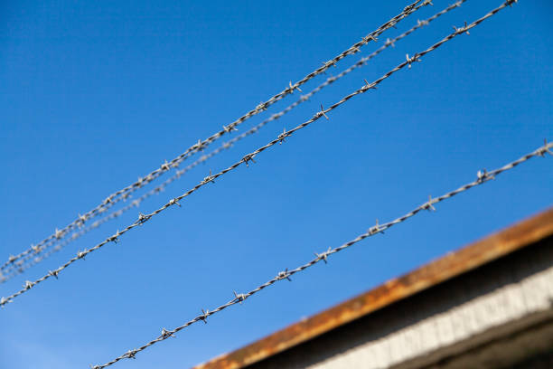barb wire in front of blue sky